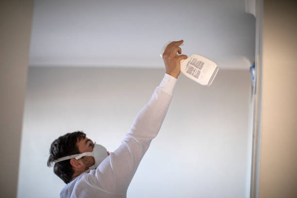 Best Emergency Mold Removal  in Walkersville, MD