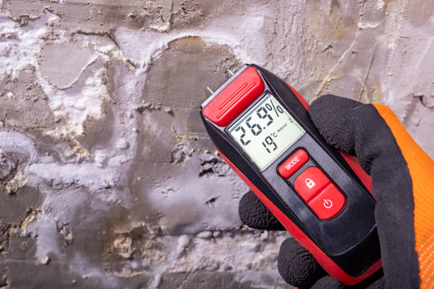 Best Home Mold Removal  in Walkersville, MD