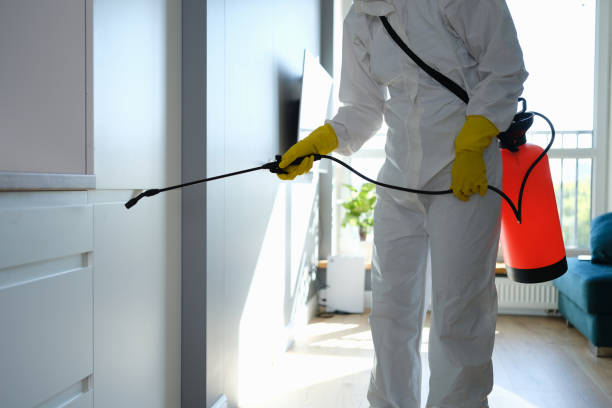 Best Mold Damage Repair  in Walkersville, MD
