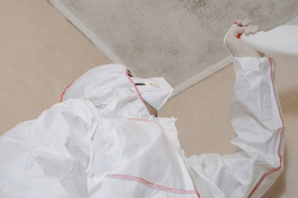 Best Emergency Mold Removal  in Walkersville, MD