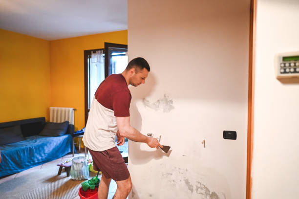 Best Certified Mold Removal  in Walkersville, MD