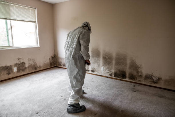 Best Mold Testing  in Walkersville, MD