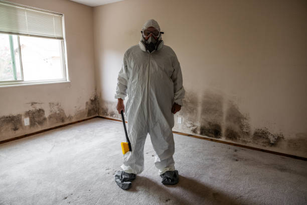 Office Mold Removal Services in Walkersville, MD